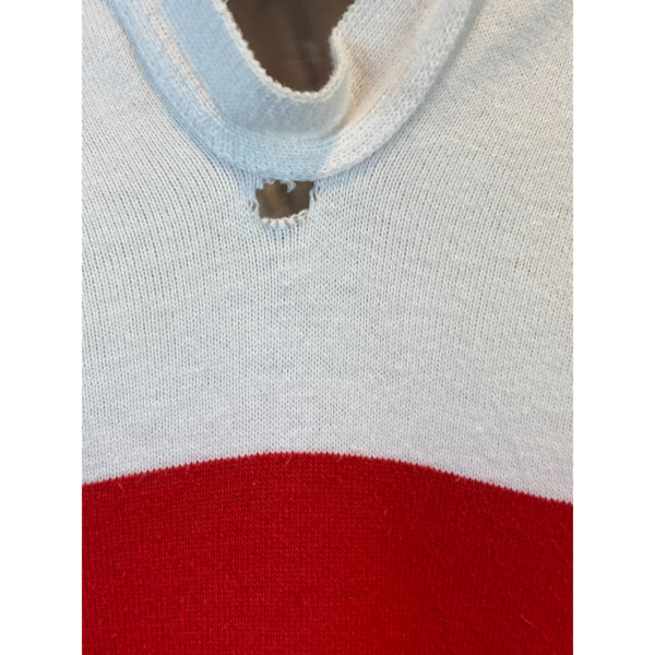 1999 Golden Lions Players Jersey #17 - Image 4