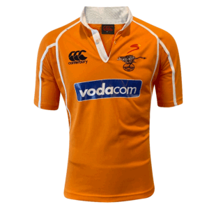2008 cheetahs rugby