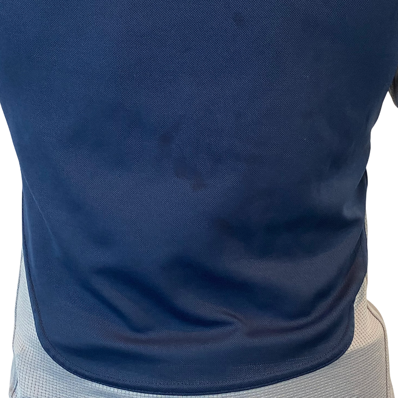 2008 argentina pumas