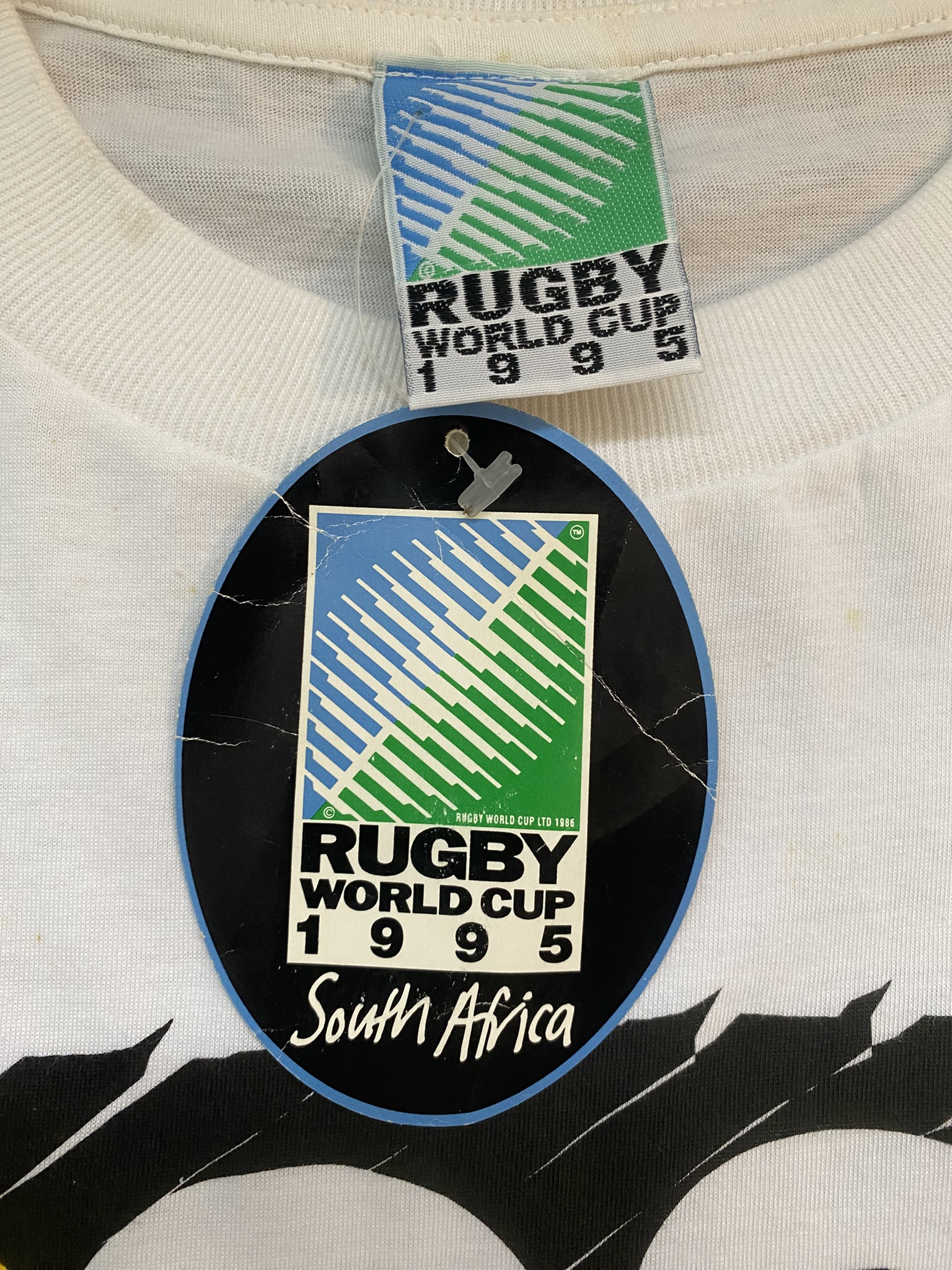 1995 rugby world cup