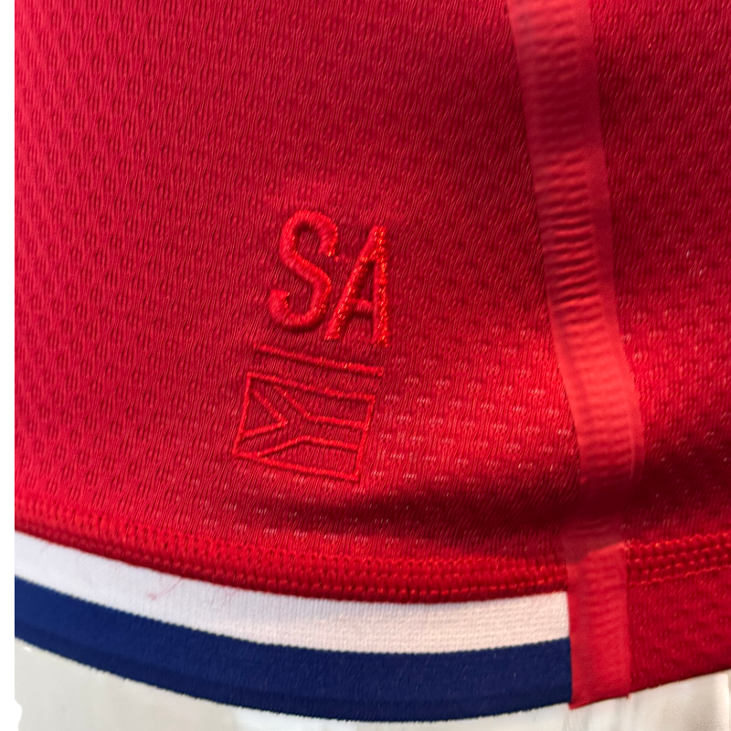2021 British & Irish Lions Players Spec Jersey - Image 6